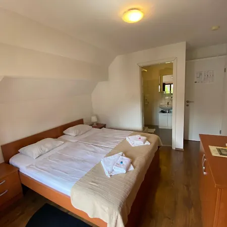 B&B Rot Bohinjska Bela Exterior foto